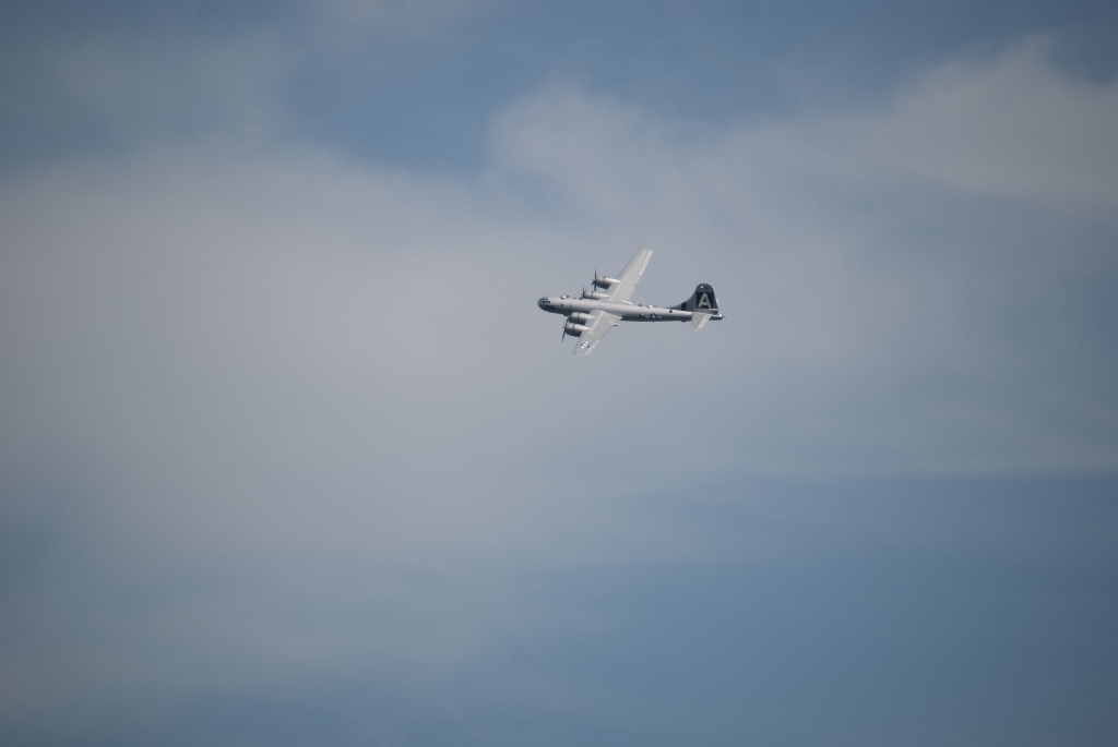 DSC_3551.jpg